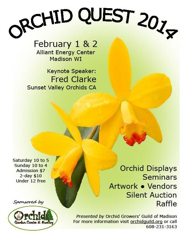 Orchid Quest 2014
